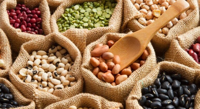 Légumes et fruits : Pourquoi en manger les aliments de saison ?
